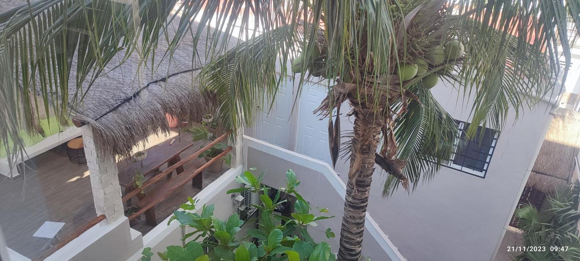 Kika Studios Playa del Carmen Exterior photo