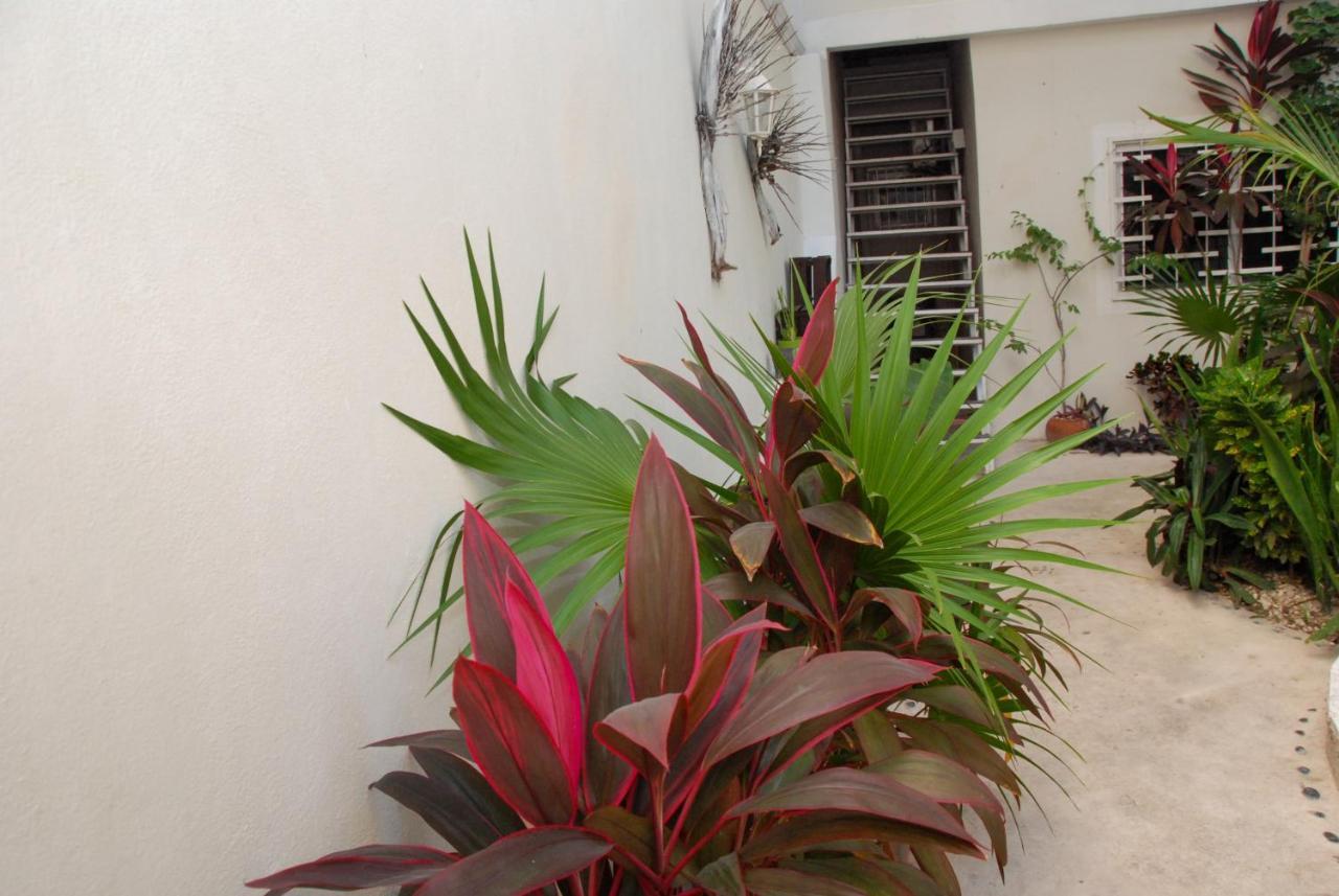 Kika Studios Playa del Carmen Exterior photo